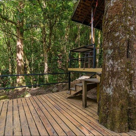 Unicorn Lodge: Direct Riverfront : Unique Experience San Gerardo de Dota Eksteriør bilde