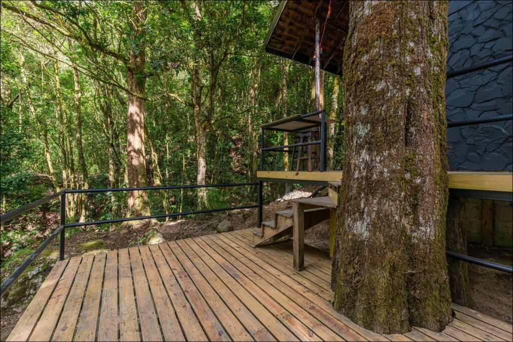 Unicorn Lodge: Direct Riverfront : Unique Experience San Gerardo de Dota Eksteriør bilde