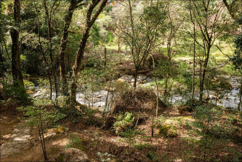 Unicorn Lodge: Direct Riverfront : Unique Experience San Gerardo de Dota Eksteriør bilde