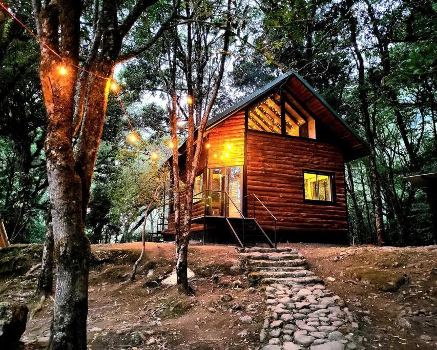 Unicorn Lodge: Direct Riverfront : Unique Experience San Gerardo de Dota Eksteriør bilde
