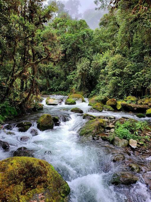 Unicorn Lodge: Direct Riverfront : Unique Experience San Gerardo de Dota Eksteriør bilde