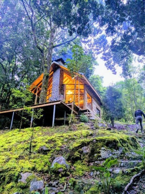 Unicorn Lodge: Direct Riverfront : Unique Experience San Gerardo de Dota Eksteriør bilde