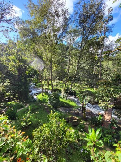 Unicorn Lodge: Direct Riverfront : Unique Experience San Gerardo de Dota Eksteriør bilde