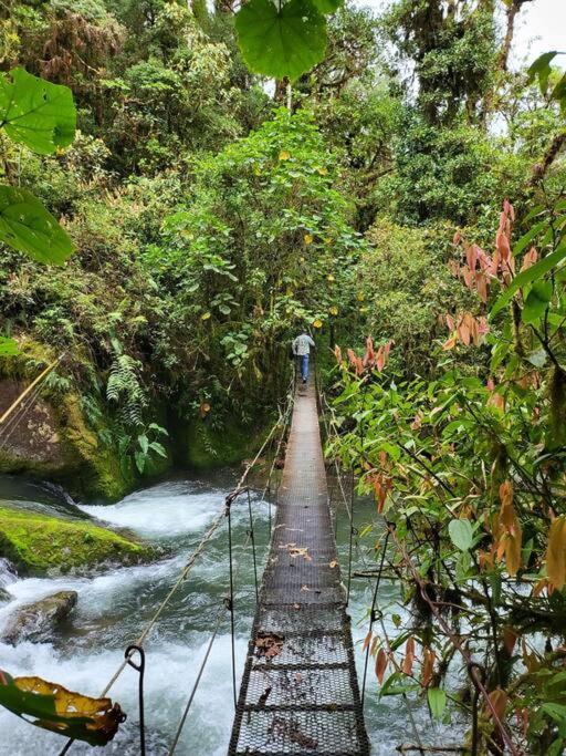 Unicorn Lodge: Direct Riverfront : Unique Experience San Gerardo de Dota Eksteriør bilde