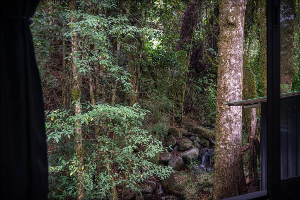 Unicorn Lodge: Direct Riverfront : Unique Experience San Gerardo de Dota Eksteriør bilde