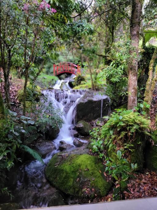 Unicorn Lodge: Direct Riverfront : Unique Experience San Gerardo de Dota Eksteriør bilde