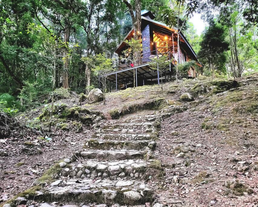 Unicorn Lodge: Direct Riverfront : Unique Experience San Gerardo de Dota Eksteriør bilde